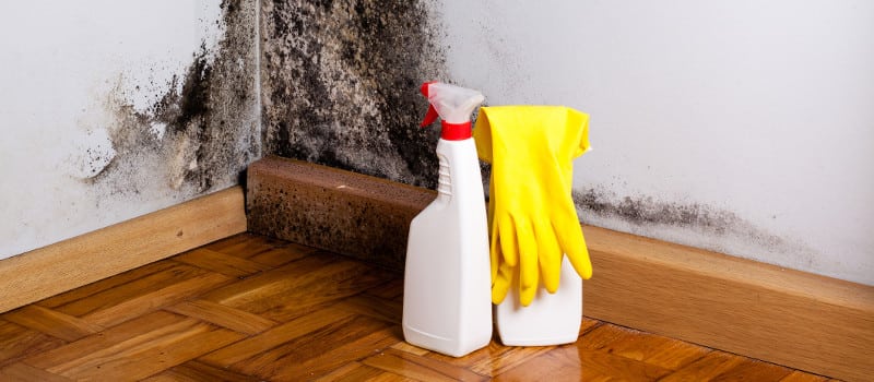 Odor Removal in West Des Moines, Iowa