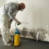 Mold Cleanup in Ankeny, Iowa