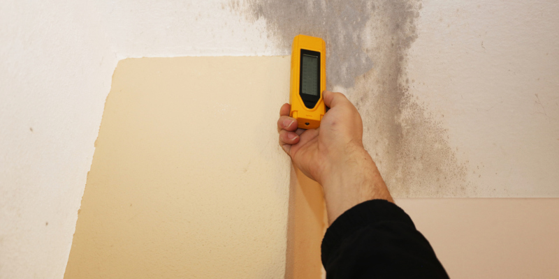 Successful mold remediation requires specialized skills as well as equipment