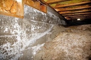 Steps You Can Take to Avoid Mold in Crawlspace